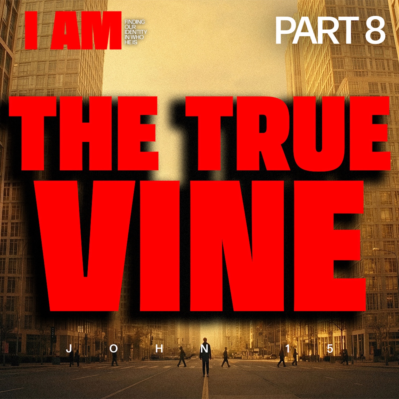 I Am: Finding My Identity in Who He Is Part 8 - The True Vine