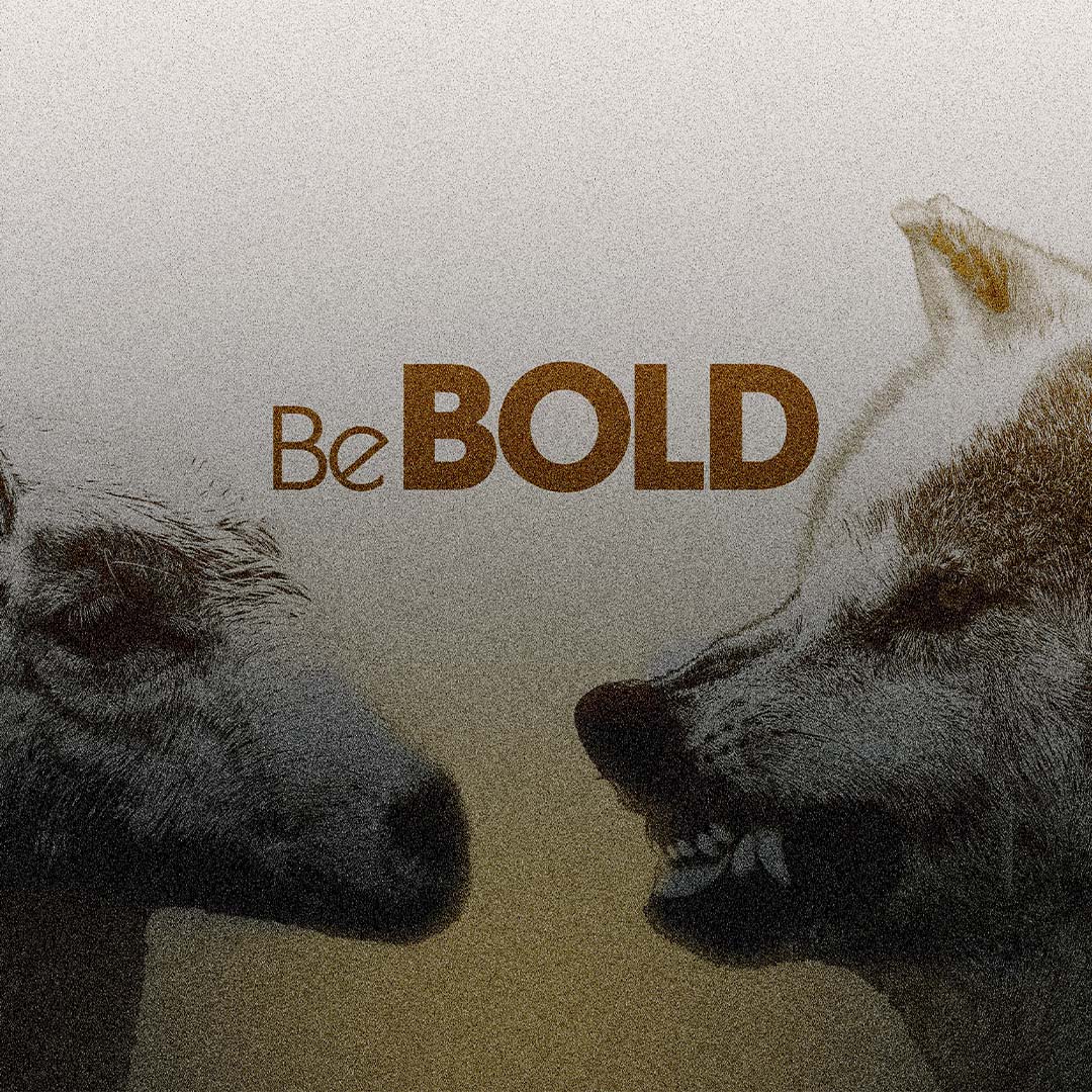 Be Bold | Part 2 "Gods Direction For Disorderly Sheep" episode artwork